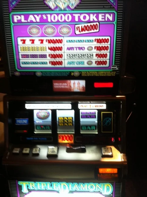 Slots odds orchid review purchase bk8bk8vao